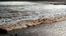 Tidal bore