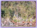 DSCN0561.JPG