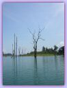 DSCN0568.JPG