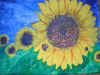sunflow.JPG (114090 bytes)