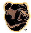 Boston Bruins