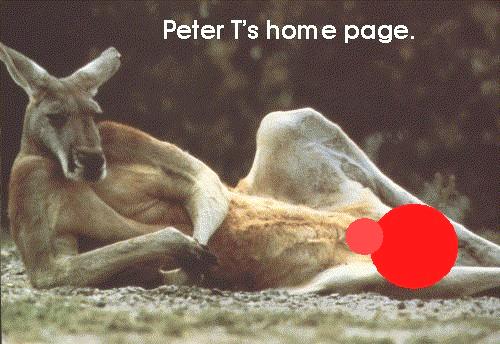 Peter T's home page.