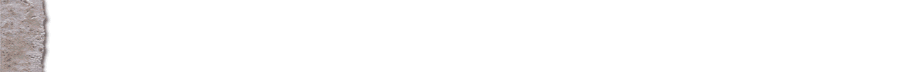 fond070.gif 