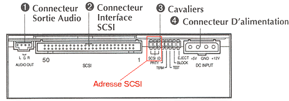 Arriere_SCSI.gif (31461 octets)