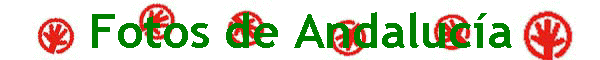 Fotos de Andaluc�a