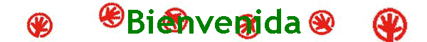 Bienvenida