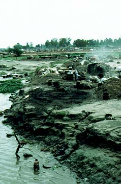 A bleached Yamuna