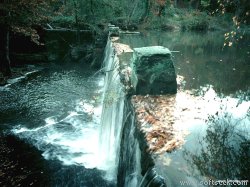 Falls