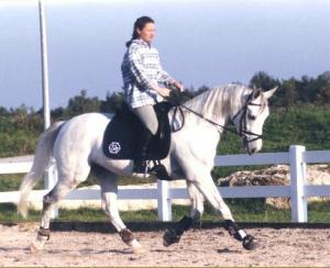 Het paard beschikt over een goede ruime draf