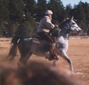 In de Western Sport zal je de Shagya Arabier niet zo snel terugzien, maar ze kunnen het wel
