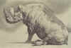 Dominguez RHINO.jpg (27023 bytes)