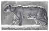Dominguez PUMA.jpg (123025 bytes)