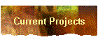 Current Projects