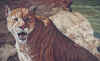 cougar.JPG (102296 bytes)