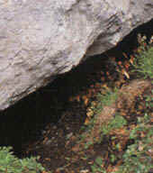 Cueva-osera