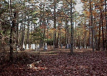 Mvc-013f.gif (96254 bytes)