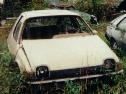 graveyardpacer#2tancoupe1.GIF (42442 bytes)