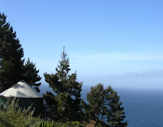 yurt with trees