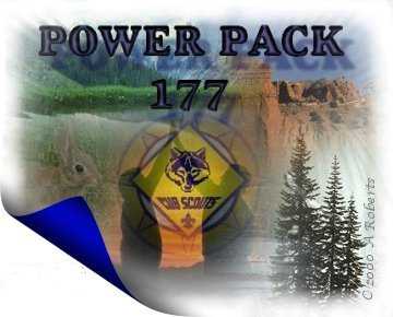 Cub Scouting