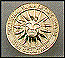Summer Activities Pin for participating in 3 summer activities
