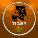 cub_tiger5.gif (3514 bytes)