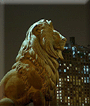 Cairo Lion