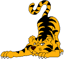 tiger pic