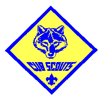Cub Scouts