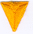 Gold Arrow