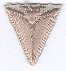 Silver Arrow