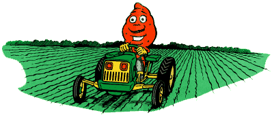 Yam Jam