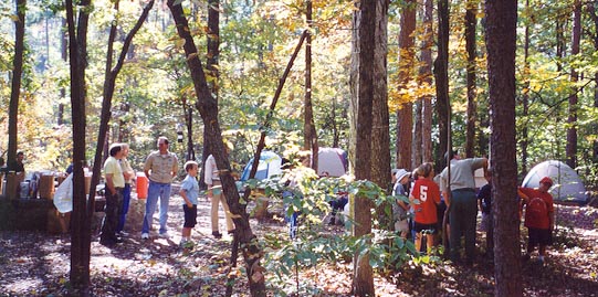 Camping in the Woods
