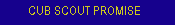 Cub Scout Promise
