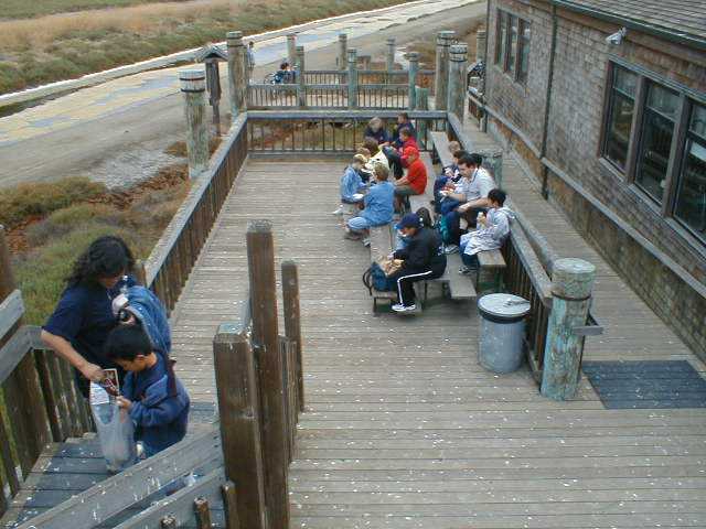 resting and eating on the deck