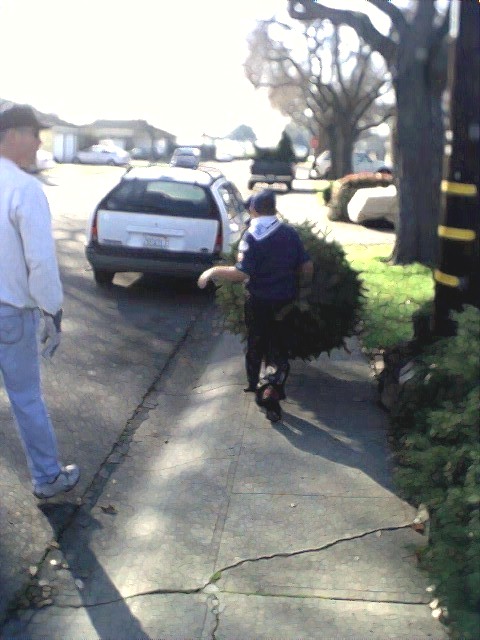 Pack 603 Annual Tree Pick-up