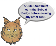 Bobcat Talking