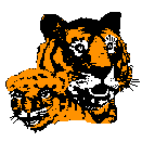 Tiger Cubs