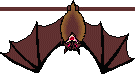 Upsidedown Bat