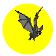 Moon Bat