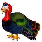 Turkey Move