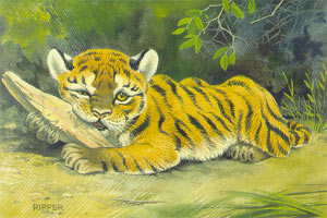 Tiger Cub Making Memories