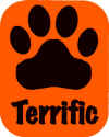 Terrific.jpg (13680 bytes)
