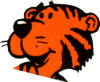 Tiger Head.jpg (10917 bytes)