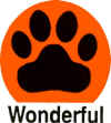 Wonderful.jpg (12768 bytes)