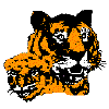 tiger rank.gif (2557 bytes)