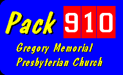 Pack 910 logo