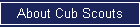 About Cub Scouts