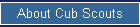 About Cub Scouts