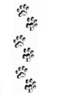click here to see the wolf trail