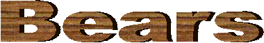 Bears